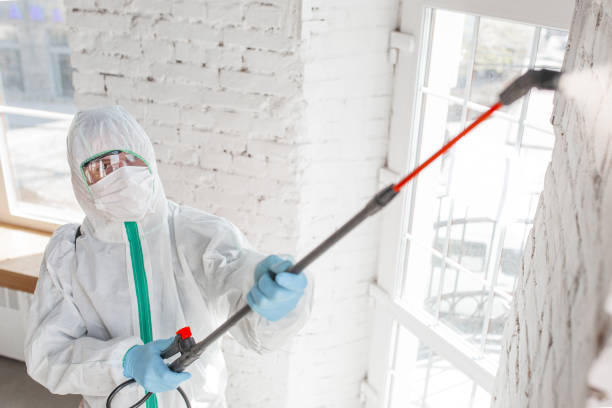 Best Environmental Consulting for Mold Prevention  in Latta, SC