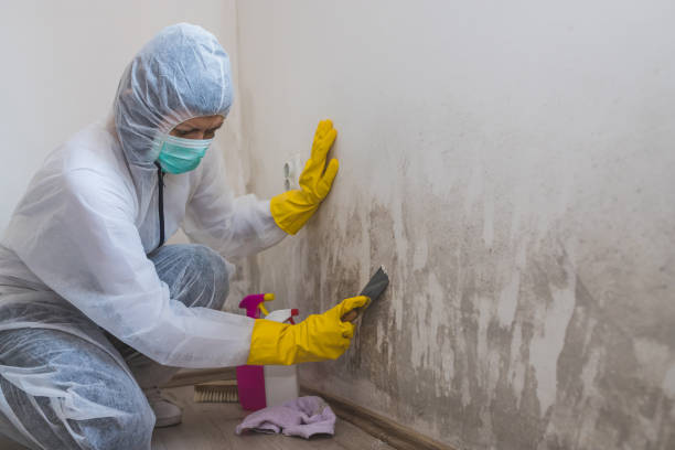 Best Biohazard Mold Removal  in Latta, SC