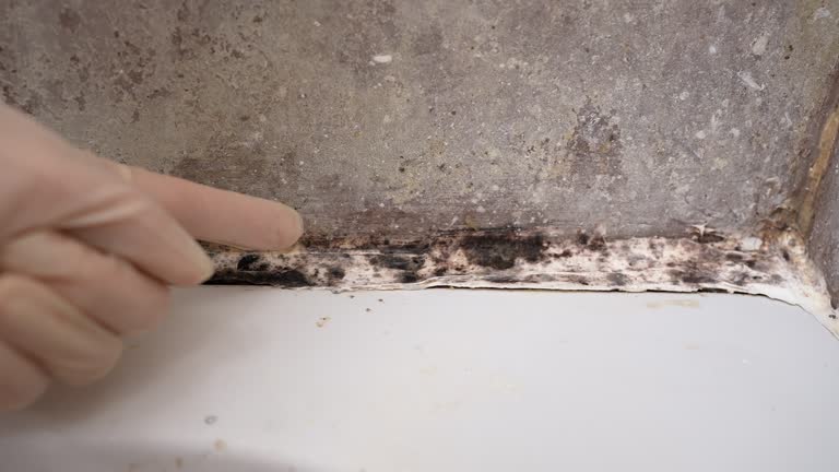 Best Residential Mold Inspection & Testing  in Latta, SC